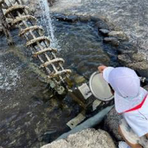 朝倉緑のふるさと公園（2024年11月掲載）