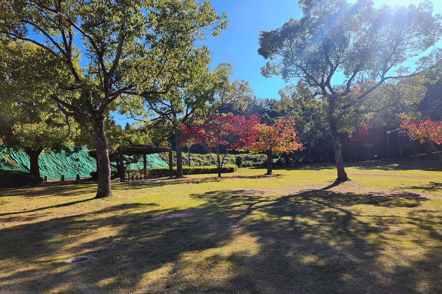 自然豊かな公園