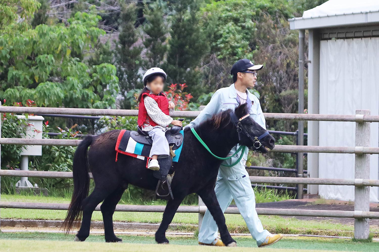 乗馬体験をするこども