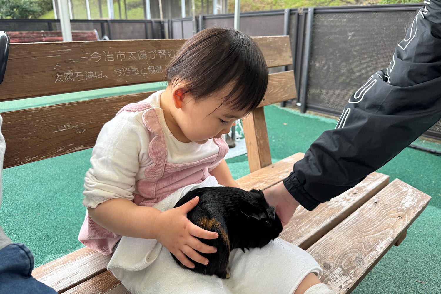 モルモットを抱く子ども