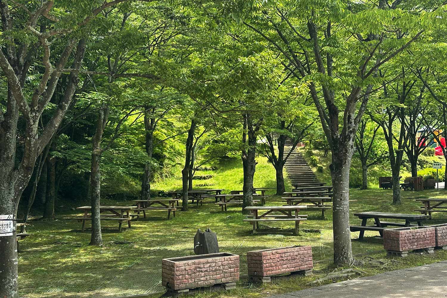 木漏れ日が美しいいこいの広場