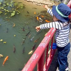 市民の森・フラワーパーク（2024年6月掲載）