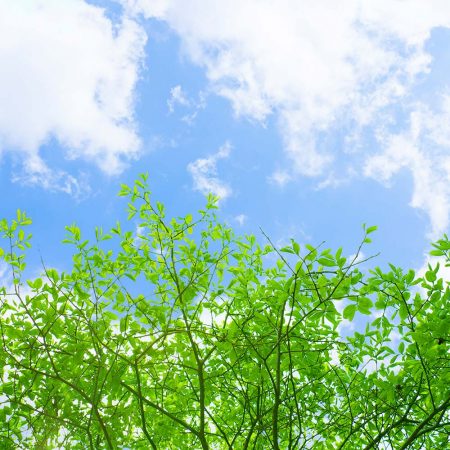 DV【ドメスティック・バイオレンス】