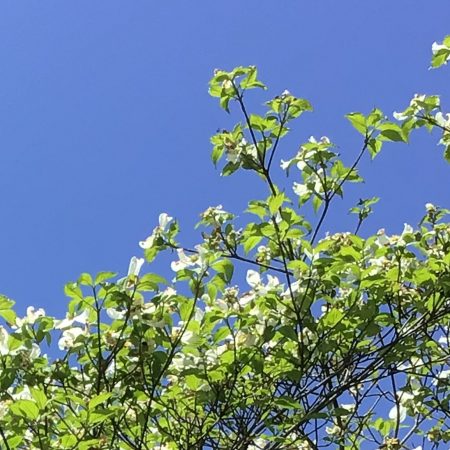 こどもの居場所（小学生以上）