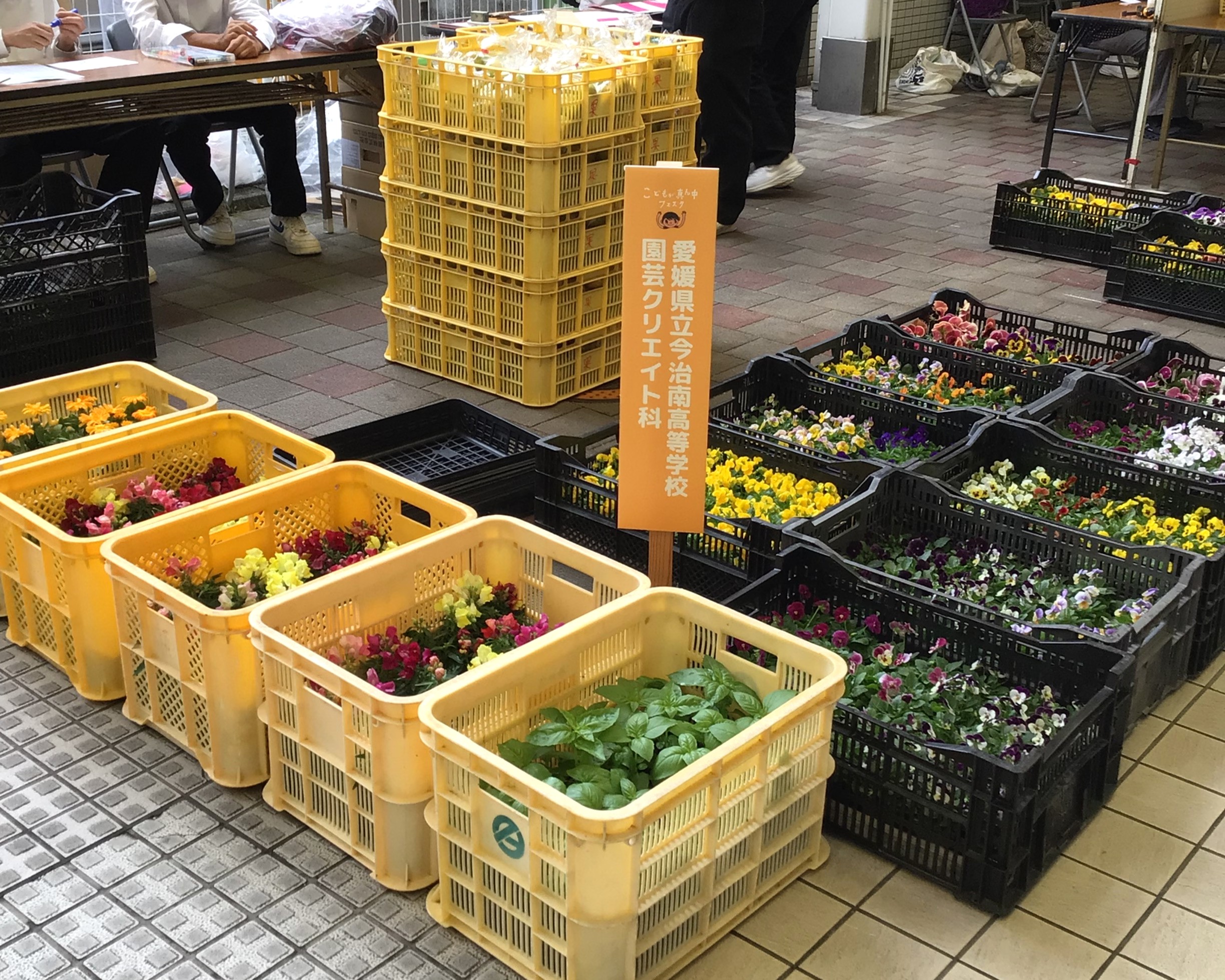 南校の農産物販売の写真
